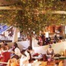 월커피숍 이미지