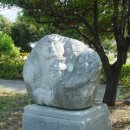 지금은 동(東)의  이미지