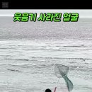 밀물소이