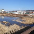 외재 이단하 선생묘 이미지