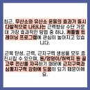 벨 트레이닝 이미지