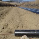 청산농장 이미지