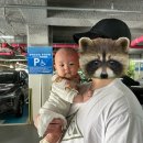 김녕돌담 | 5개월아기와 제주도여행 1일차(김녕오라이,돌담통닭,수니네국수)
