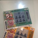 바이펫짐 이미지