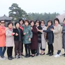 월등파크호텔 이미지