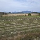 들녘 이미지