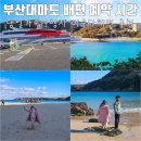 윤가푸드 | 부산 대마도 배편 예약 시간 당일치기 여행지 미우다 해변