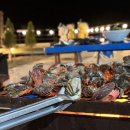 진정민박 이미지