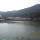 태화목재