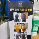 금발헤어샵 - 익산시 | 금발헤어샵
