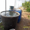 운암농장 이미지