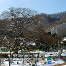 보탑사 주차장 이미지