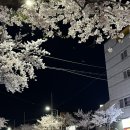 포항 회식장소 추천! 산수연가 후기