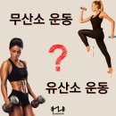 자이언트짐 3호점 네이버블로그
