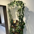 스테이 뒷빌레 이미지