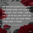 알파우면점 | [BL 리뷰] 인투 더 로즈 가든(Into the Rose Garden)_Winterbaum