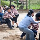 진동초등학교 이미지