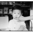 국빈관관광나이트 이미지