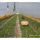 재수농장 이미지