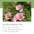 P-6703 이미지