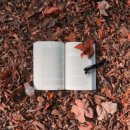 소설 쓰기의 첫걸음 이미지