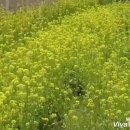 단비공원 이미지