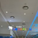 마켓플레리 | 코엑스 아쿠아리움 예매 꿀팁부터 관람 솔직후기 총정리 feat,주차