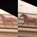 강변북로4 이미지