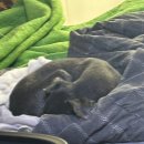 현주목장 이미지