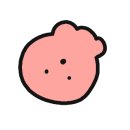 카페노들