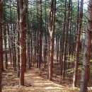 12월13일(토) 경주(황리단길*동궁과월지*첨성대)＜야경테마＞예약방 이미지