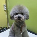 올리스 방이점 이미지