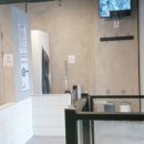 댕댕샤워 이미지