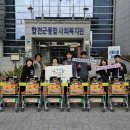 구르미 데일리한국