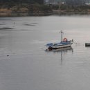 오조리-2 이미지