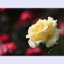 곡성-166 이미지