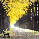 마중 가던 길 이미지