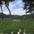 대장금마실길(1코스) 이미지