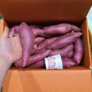 명지농장 이미지