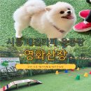 카페영화 | 부천 - 시흥 애견 동반 카페 겸 운동장 영화산장 애견카페 솔직 후기