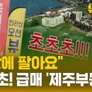 눈물의 제주 부동산..'초고가 분양' 그리고 끝없는 '붕괴' (뉴스토리) / SBS 이미지