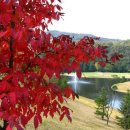 레이크사이드대중 | 레이크 사이드 cc 가깝고도 긴 홀