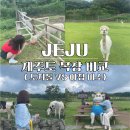 초원들축산 | 제주도 목장 체험 어디가 좋을까? 아침미소목장 vs 도치돌목장 솔직 비교