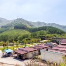 아이뜰관광농원 이미지