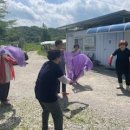 철원군 치매안심센터 이미지