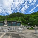 설악스카이 이미지