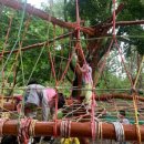 라온수피아유치원 이미지