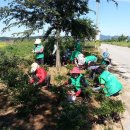 지방도808호선 이미지