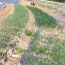 사촌농장 이미지