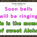 MR - Hawaiian wedding song/Andy Williams 이미지